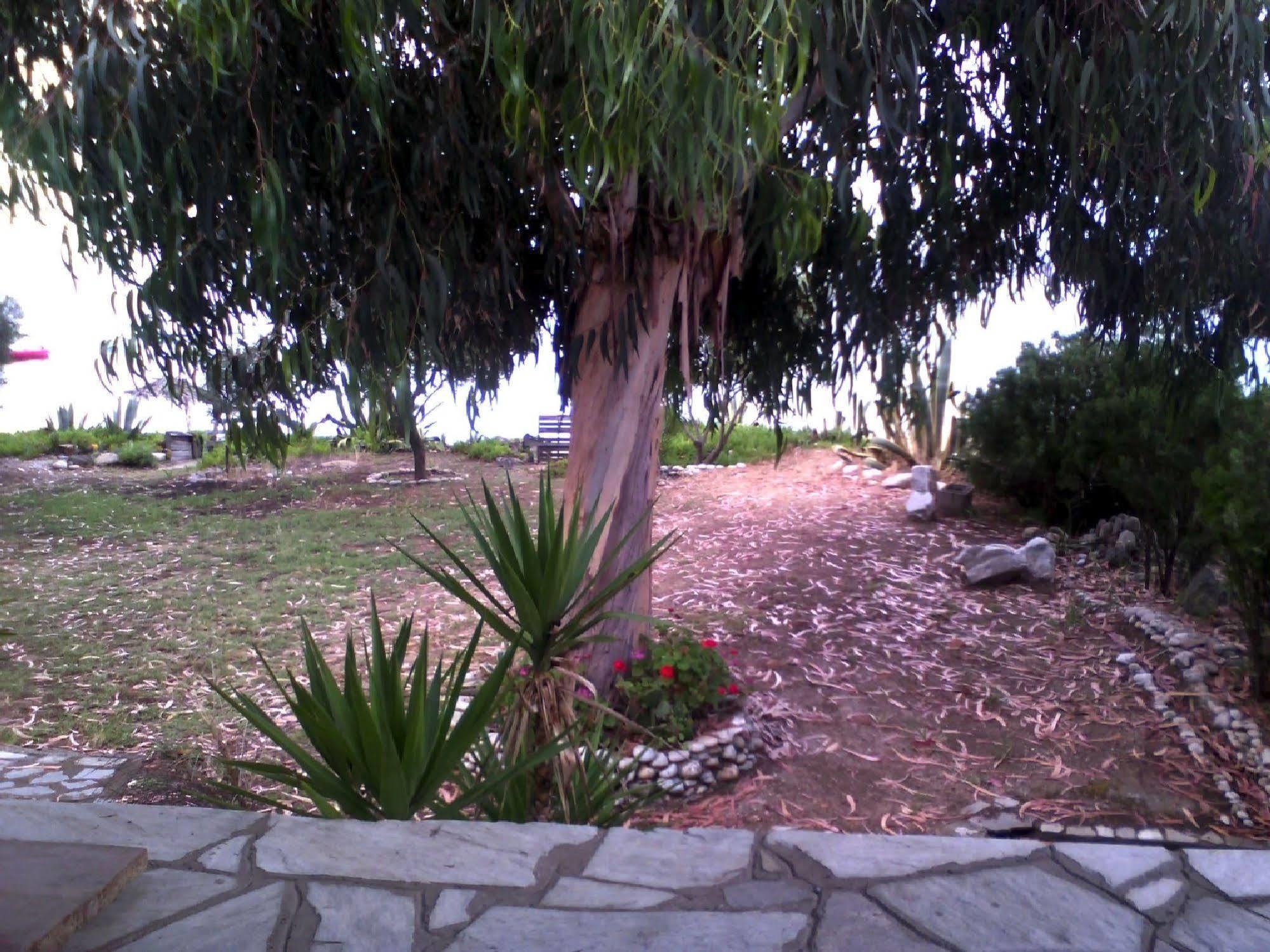 הוילה אואוראנואופולי Agrelia House מראה חיצוני תמונה
